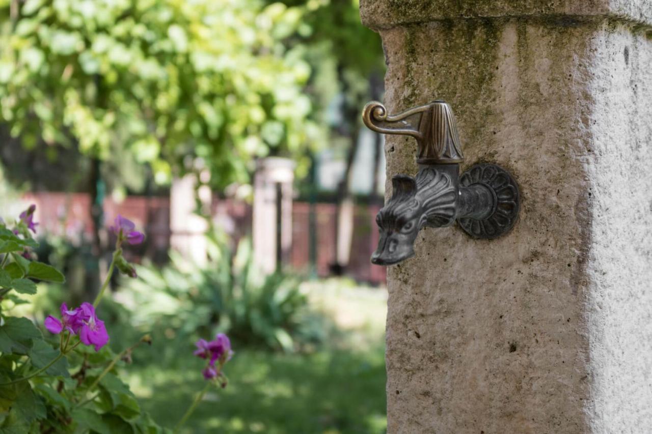 Villa Francesco Appartamento La Ruota Desenzano del Garda Eksteriør billede